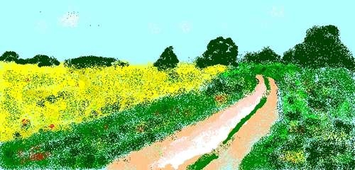 Rapsfeld