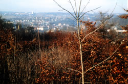 Aussicht