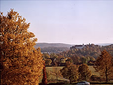 Blick auf Schloss Hellenstein