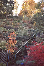 terrassenartig angelegte Gärten