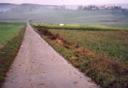Hinunter ins Ried